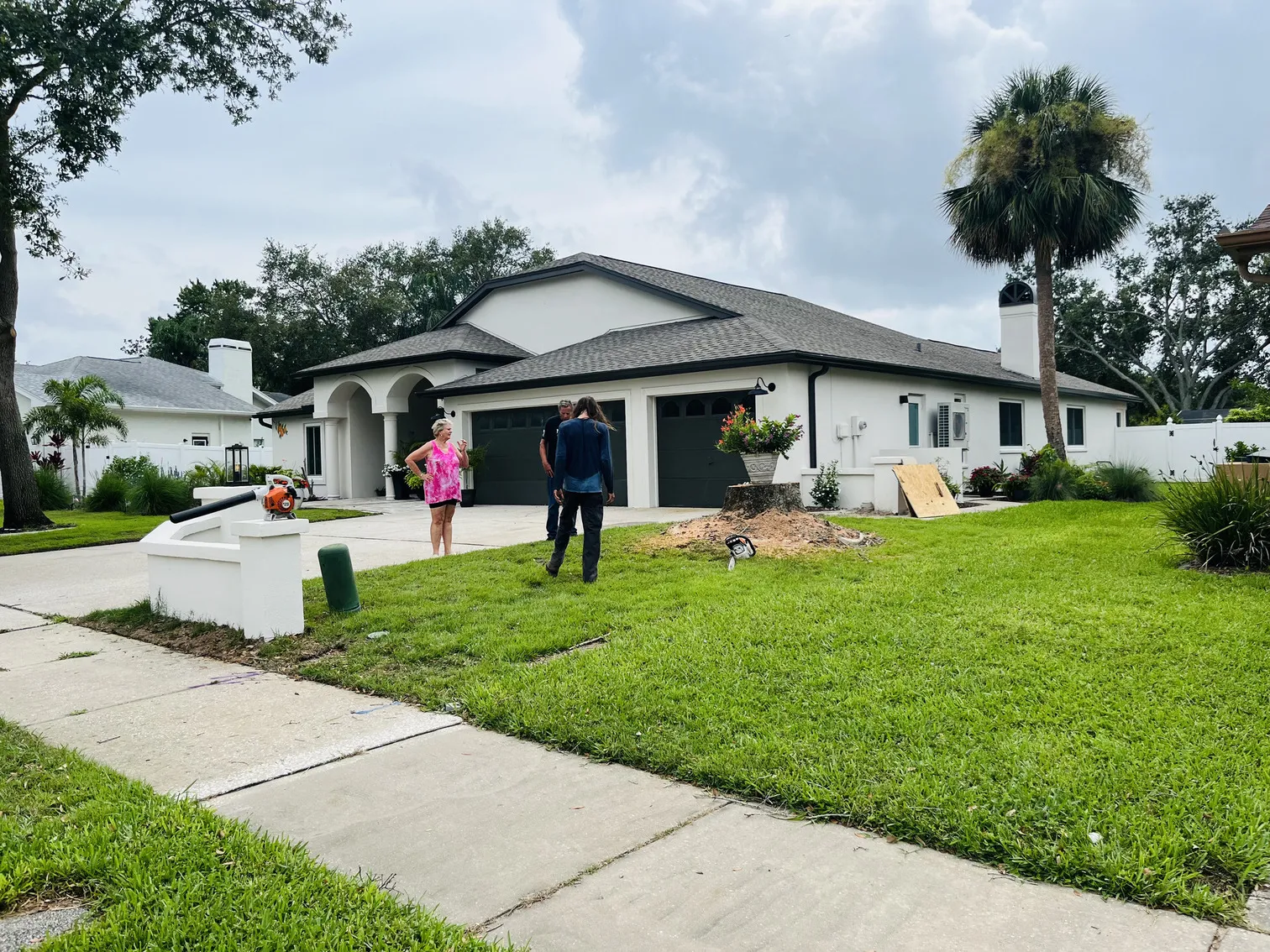 Tree care after - Dunedin, FL
