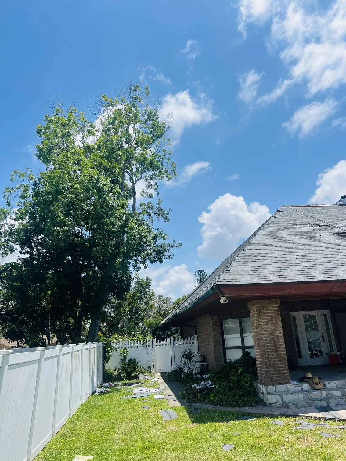 Tree care after - Largo, FL