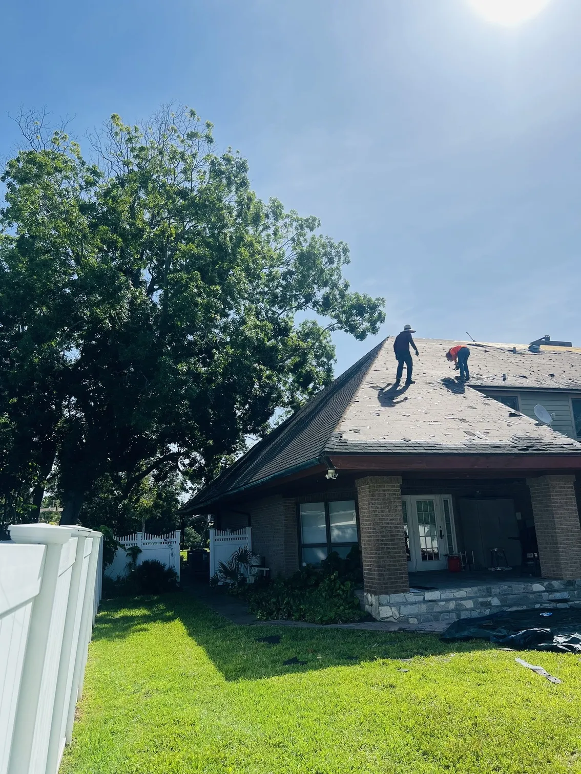 Tree care before - Largo, FL
