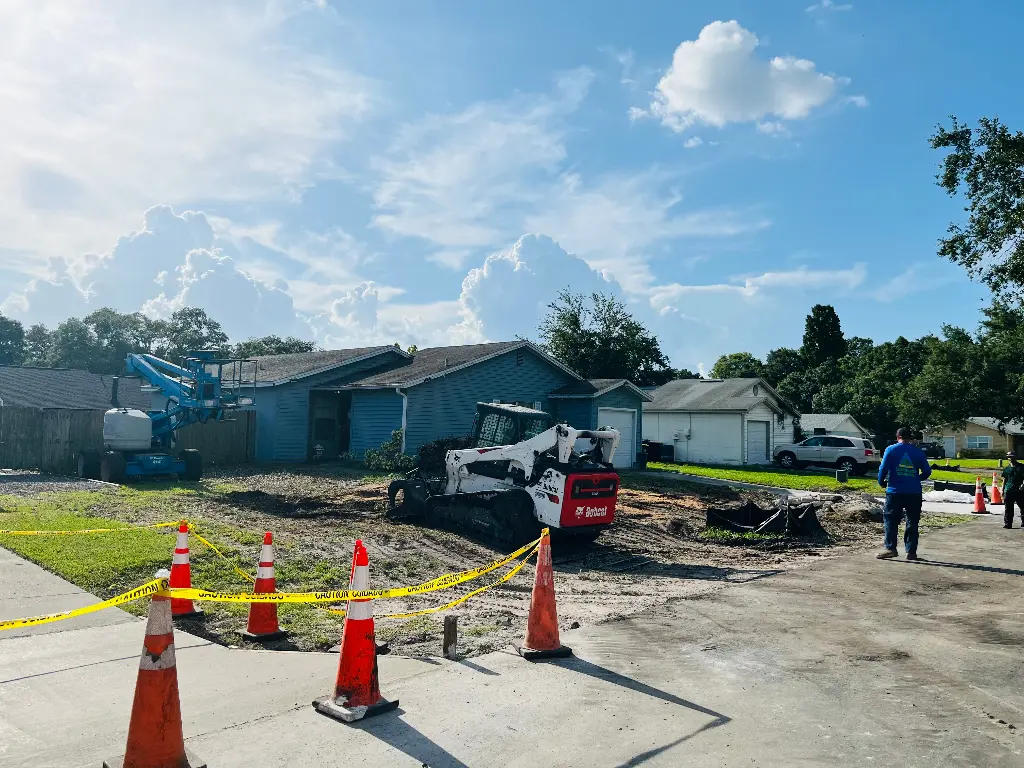 Tree care after - St. Petersburg, FL
