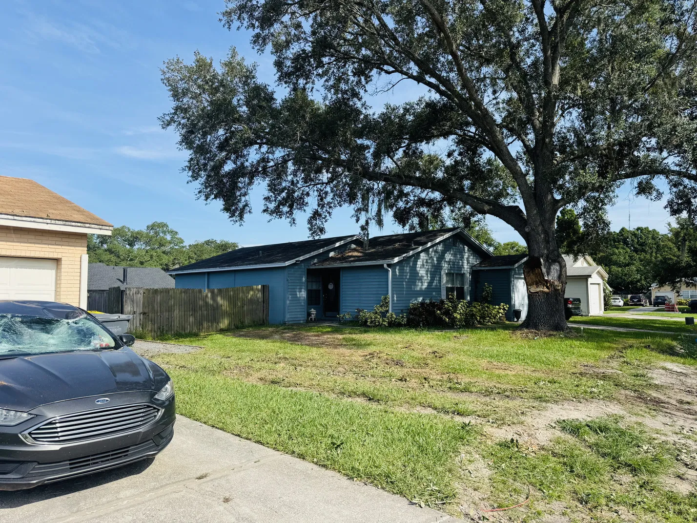 Tree care before - St. Petersburg, FL