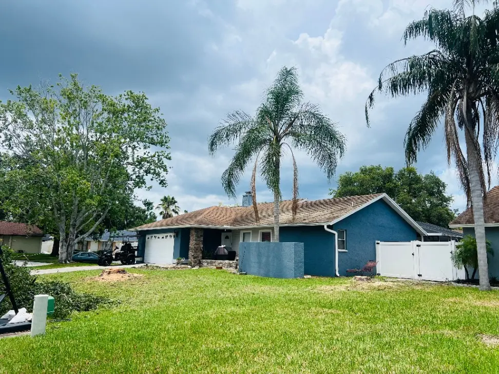 Tree care services in Tampa Bay, FL