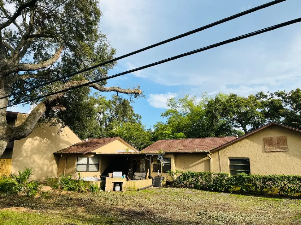 Tree care services in Tarpon Springs, FL