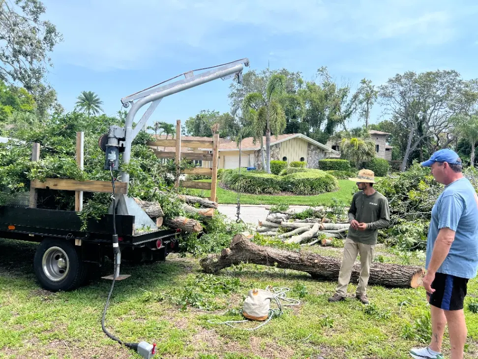 Emergency Tree Service
