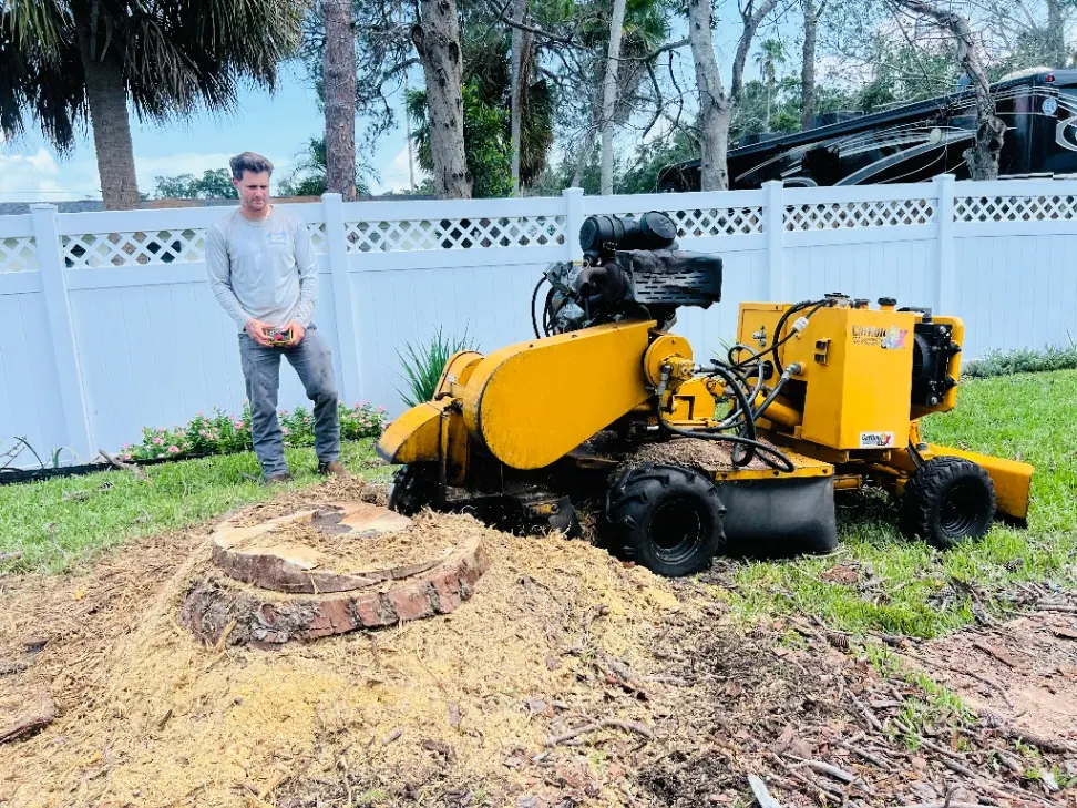 Stump Removal & Grinding